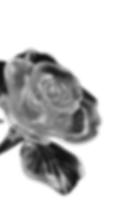 Flower 3