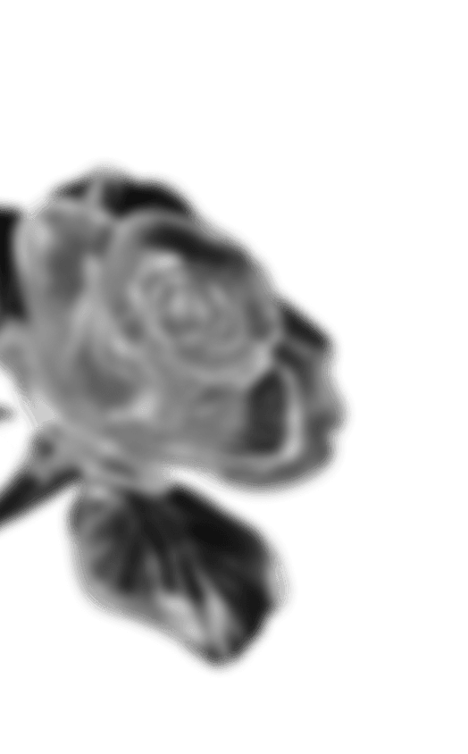 Flower 3