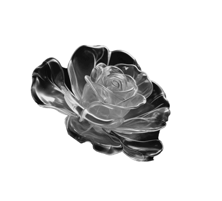 Flower 1
