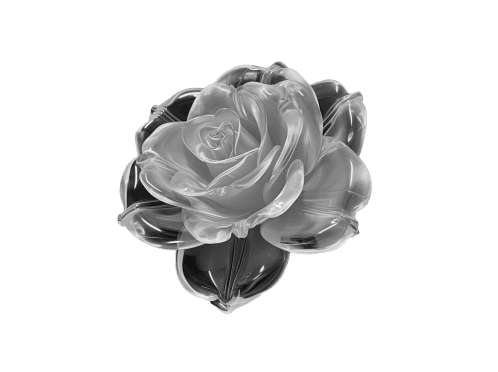 Flower 2